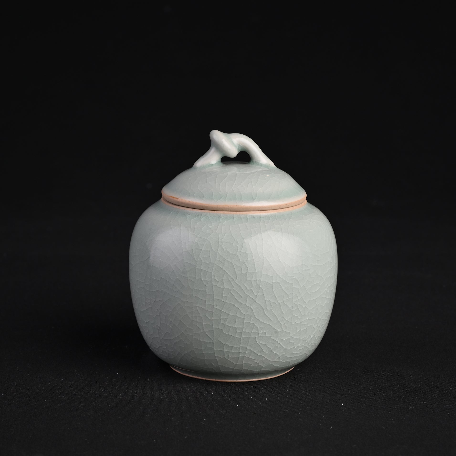 Natural Mineral Verdant Green Glaze Tea Canister