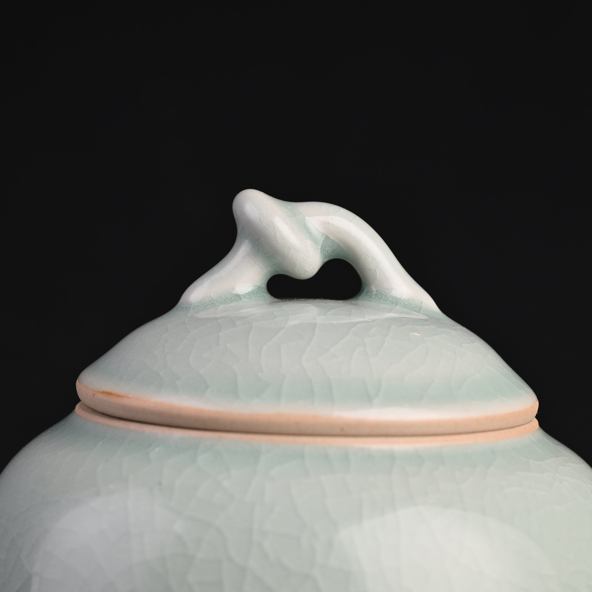 Natural Mineral Verdant Green Glaze Tea Canister