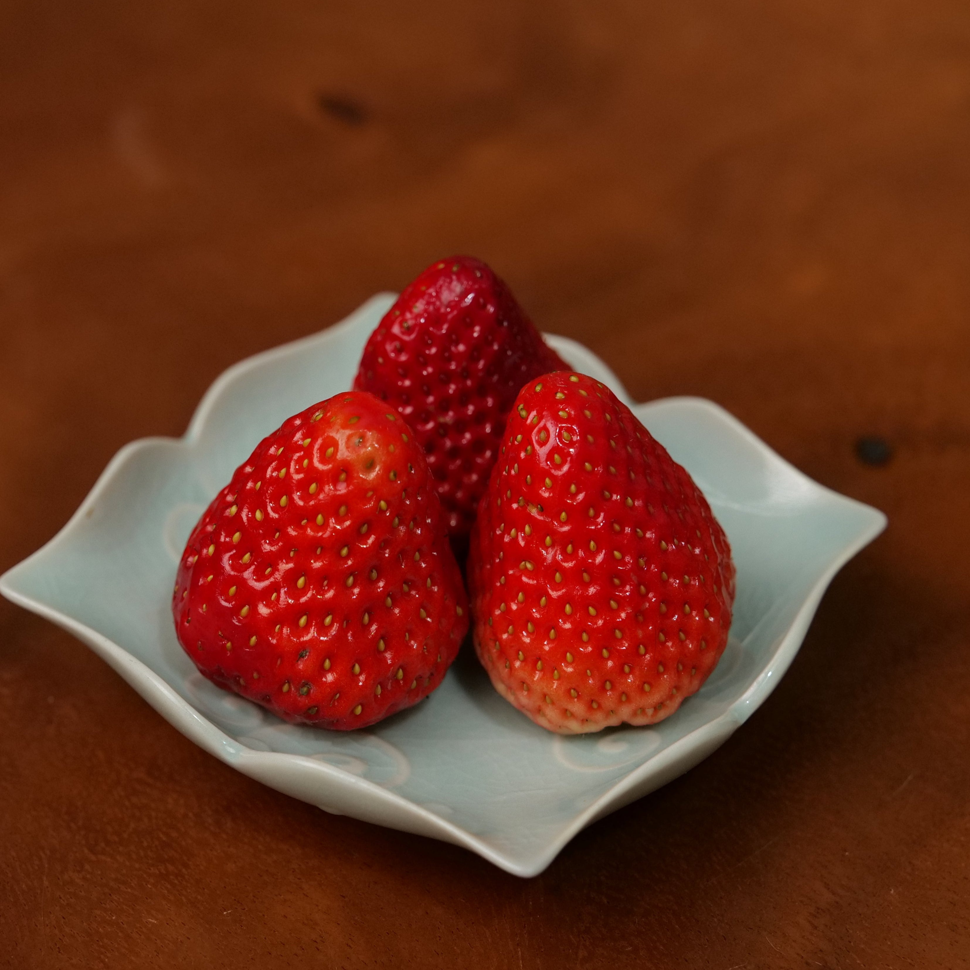天然鉱物 青緑釉 祥雲小皿 （人気商品）